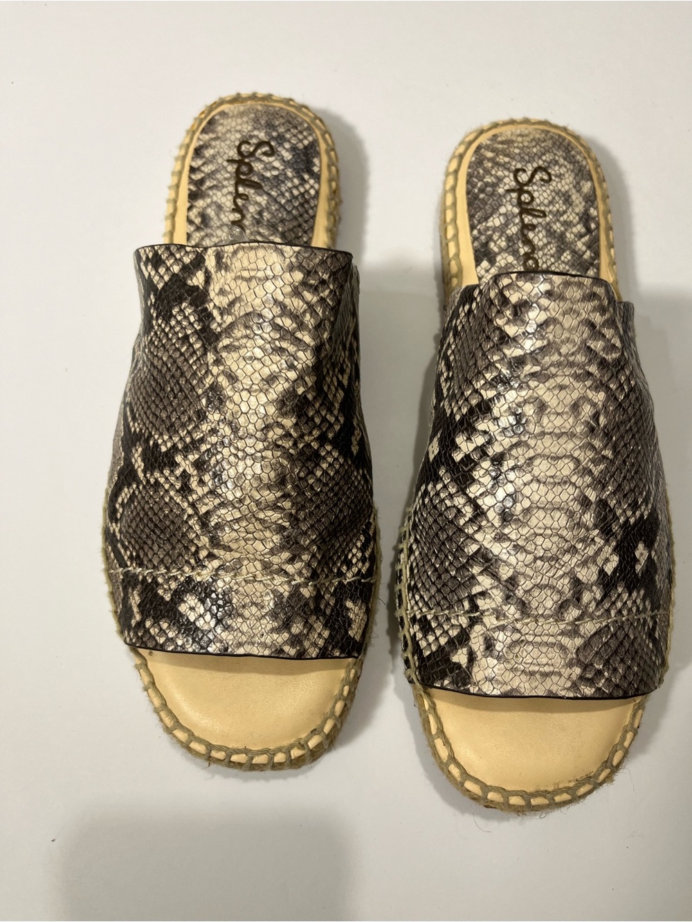 Splendid Snake-Print Slide Mules in Black and Cream